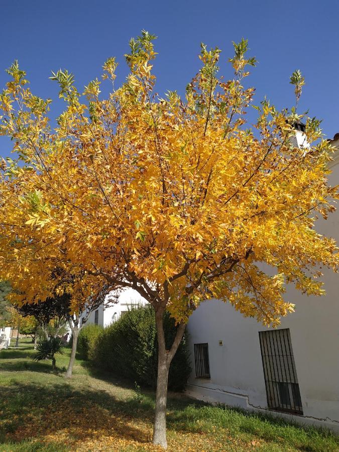 Vila La Casa De Elias Aracena Exteriér fotografie